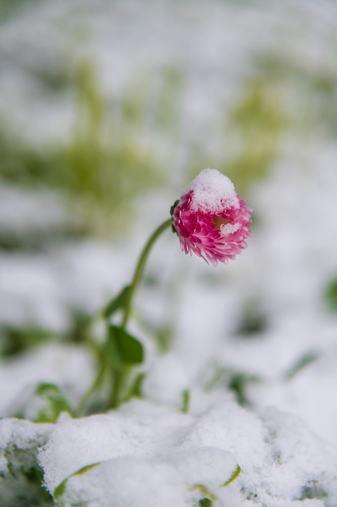 Photograph by Рыков Андрей