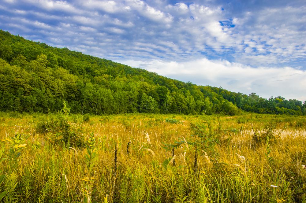 Photograph by Михаил Еремеев