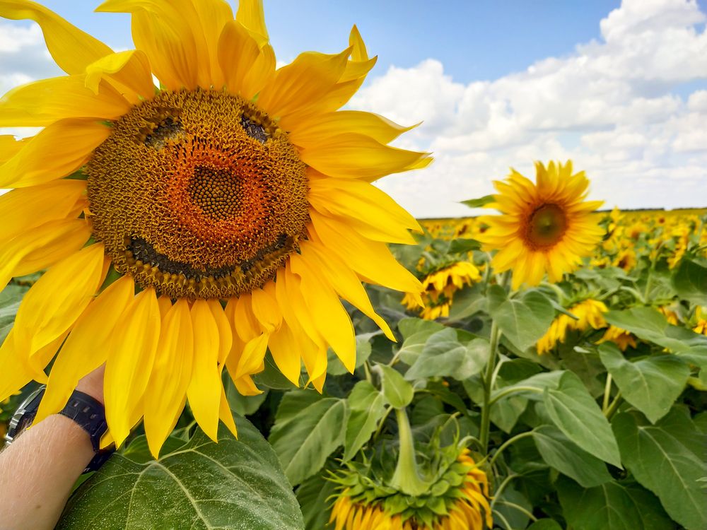 Photograph by Рыков Андрей