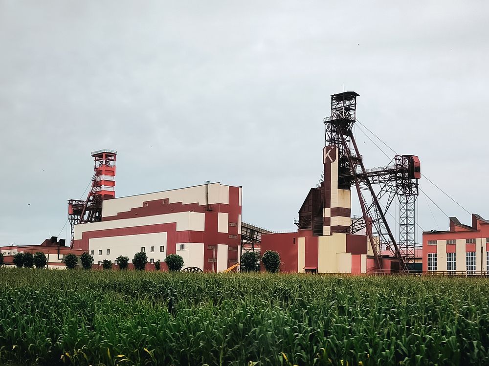 Photograph by Людмила Емельянчикова