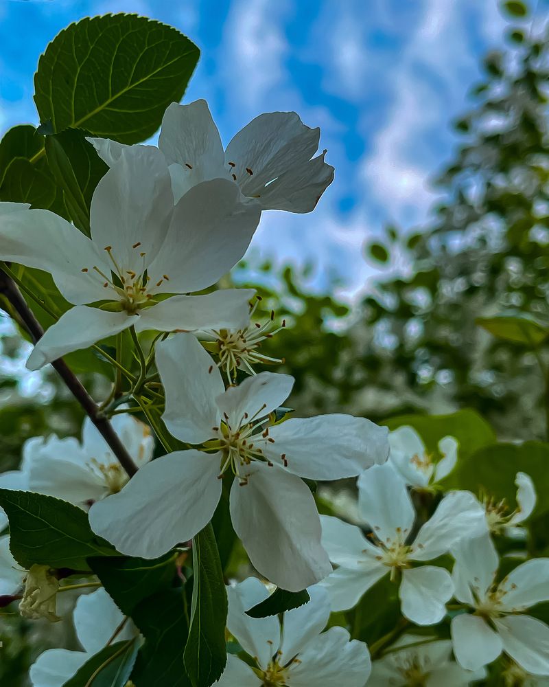 Photograph by Полина Мельникова