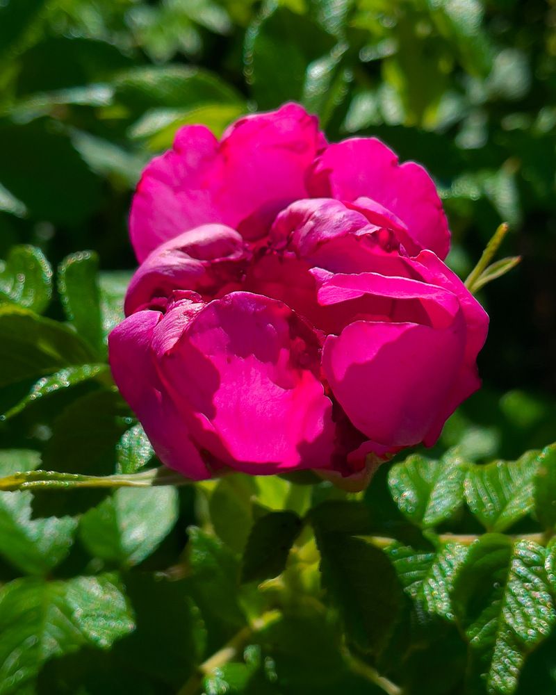 Photograph by Полина Кузнецова