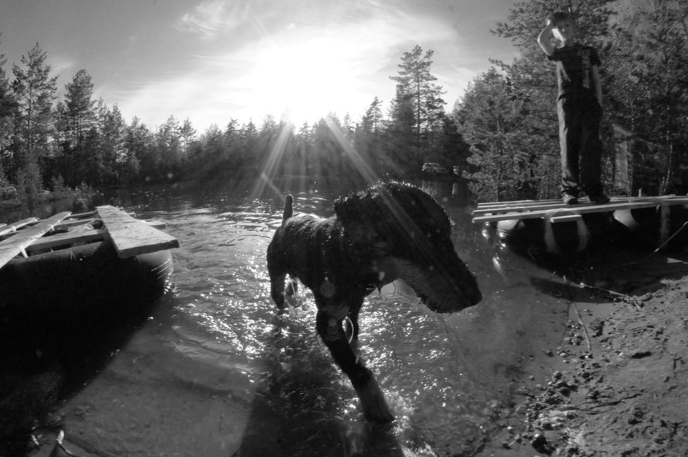 Photograph by Ольга Аристова