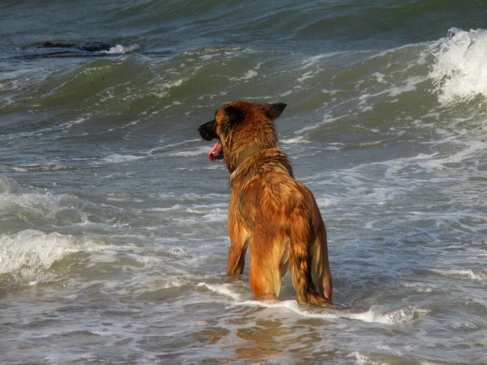 Photograph by Ольга Березовская