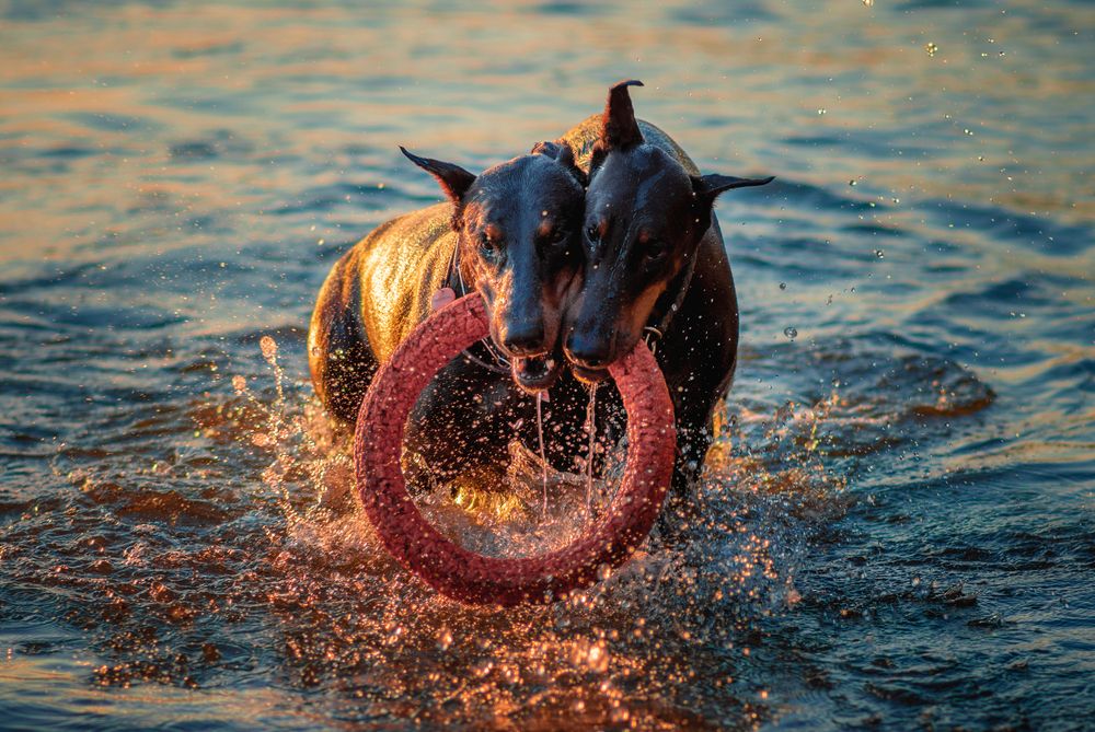 Photograph by Екатерина Лебедева