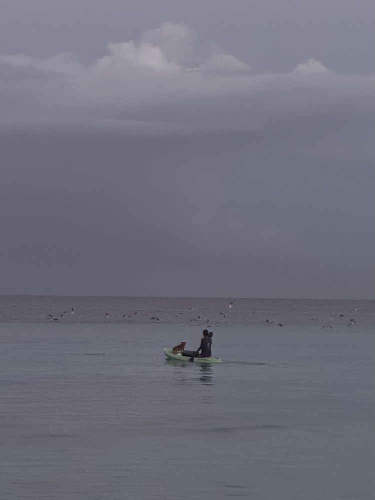 Photograph by Олеся Кузьмичева