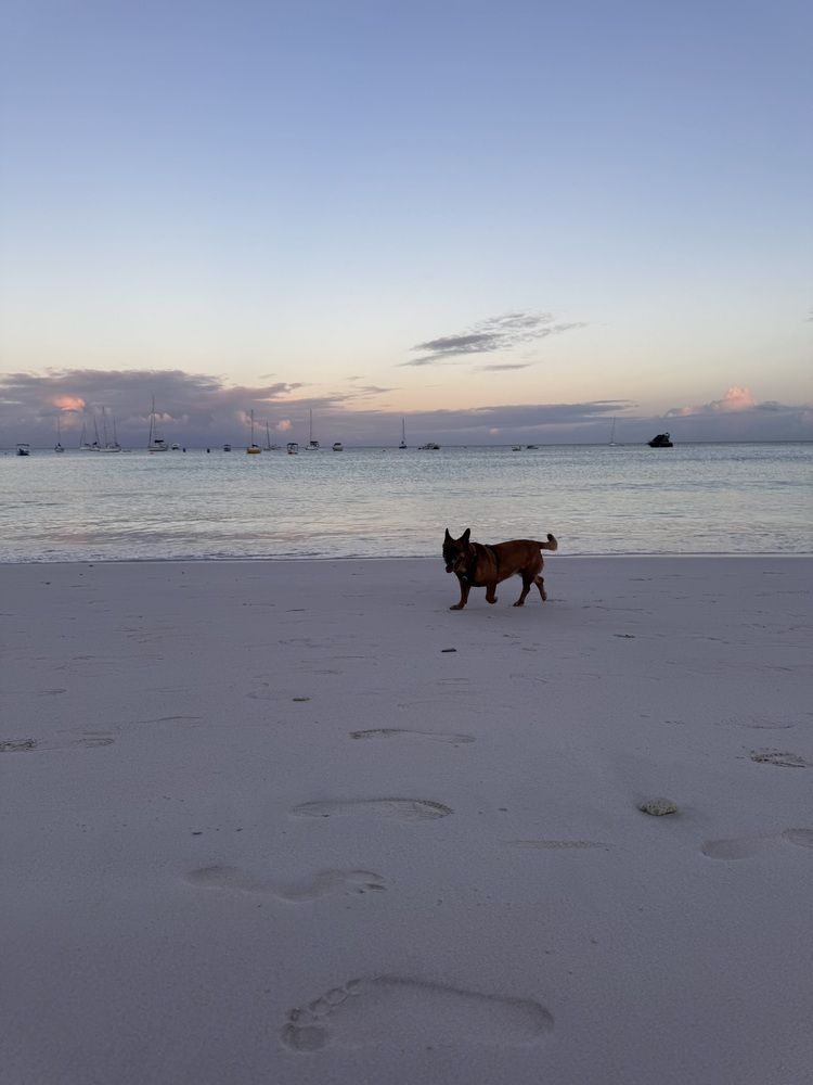 Photograph by Олеся Кузьмичева