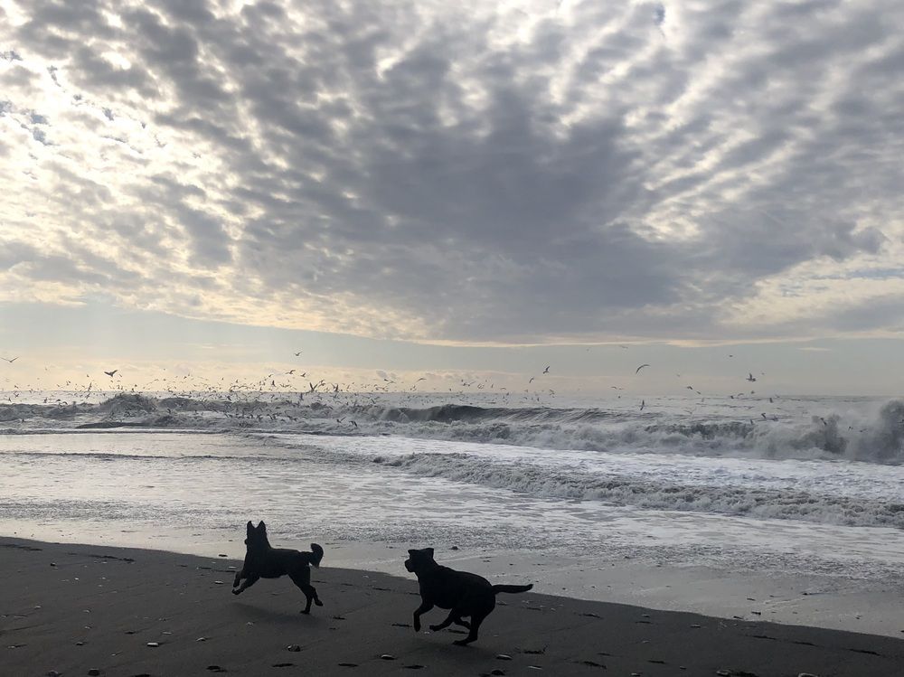 Photograph by Олеся Кузьмичева