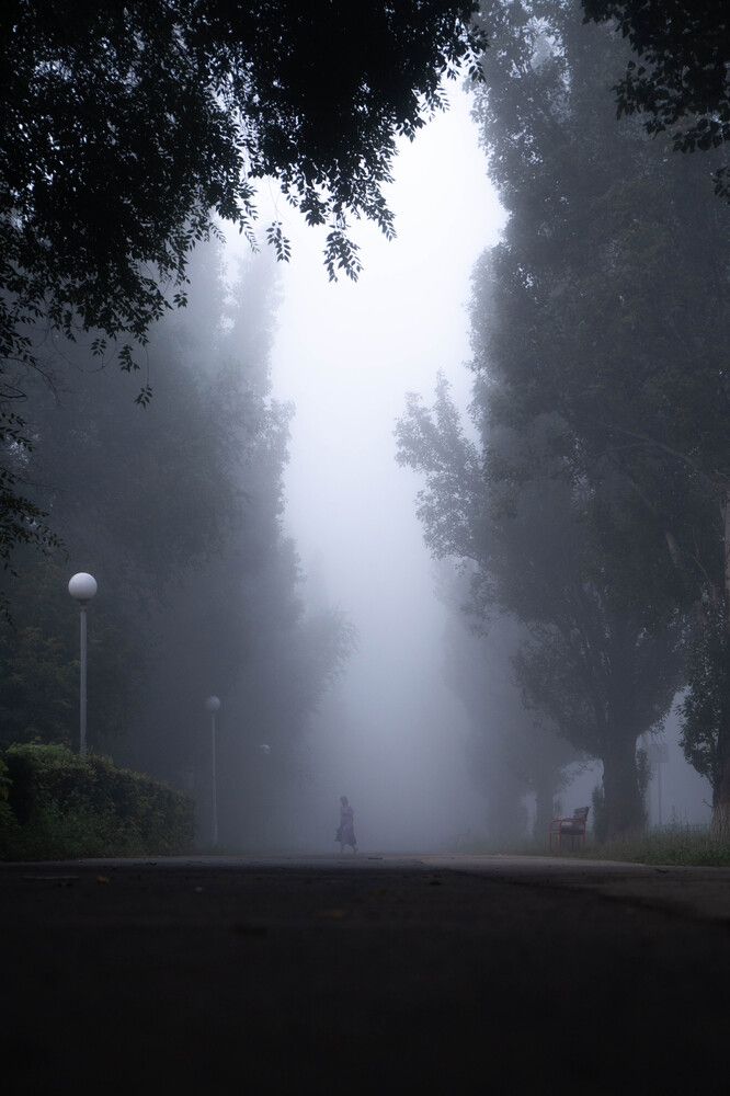 Photograph by Максим Шевченко