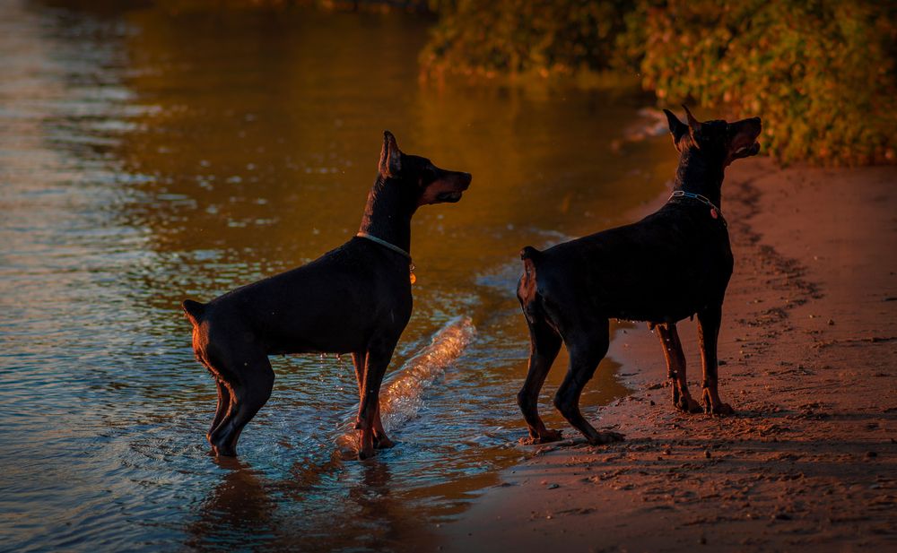 Photograph by Екатерина Лебедева