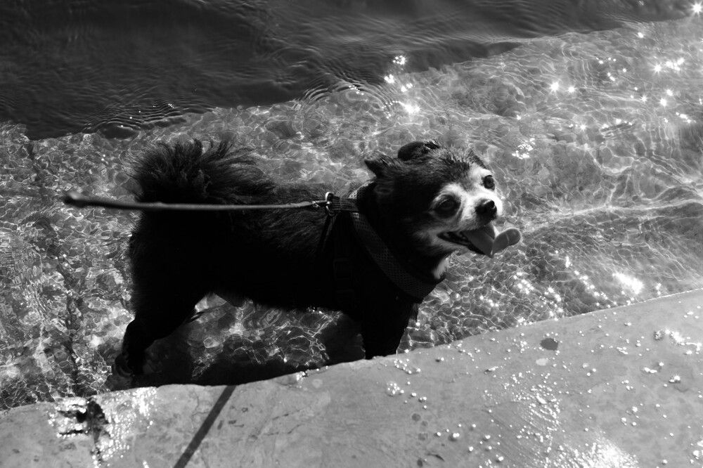 Photograph by Максим Шевченко