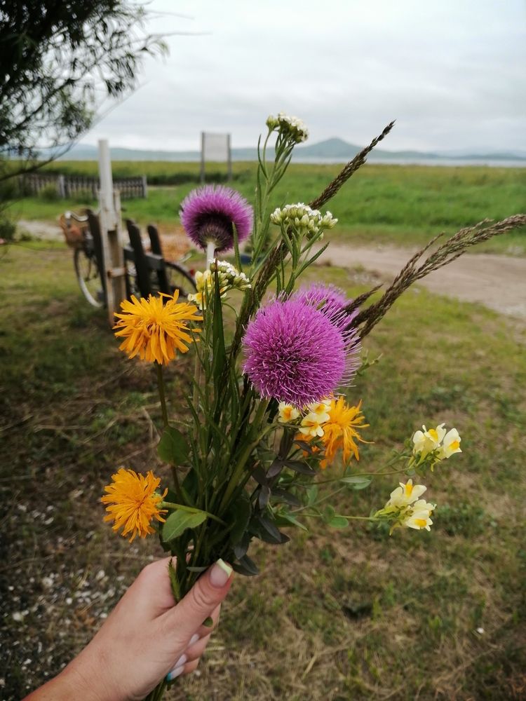 Photograph by Екатерина Степанова