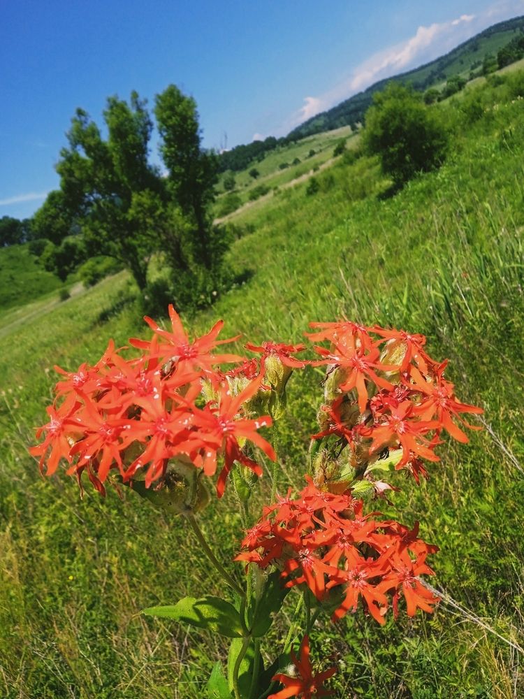 Photograph by Екатерина Степанова