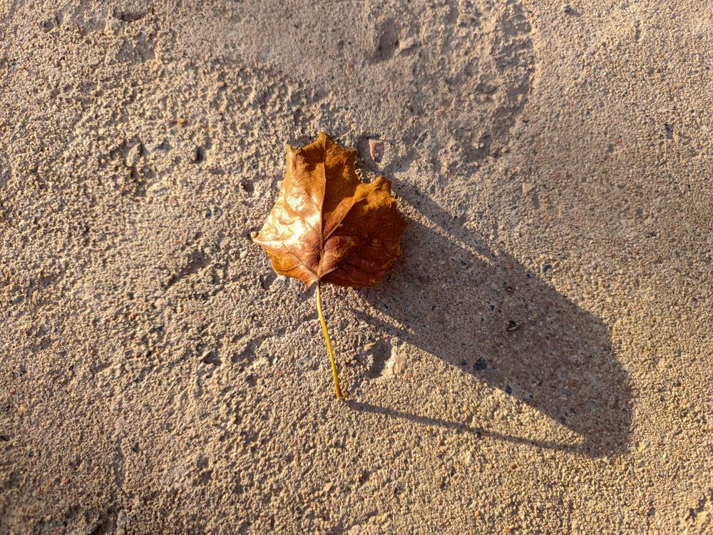 Фотография автора Владимир Ли