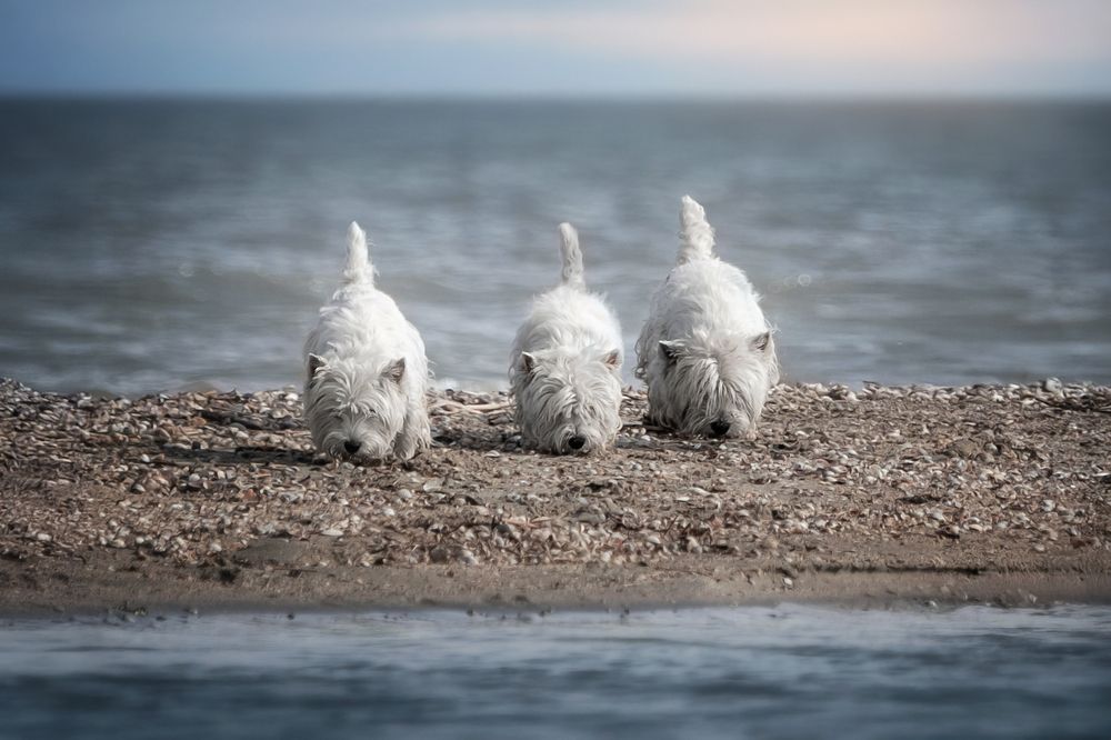 Photograph by Наталья Орел