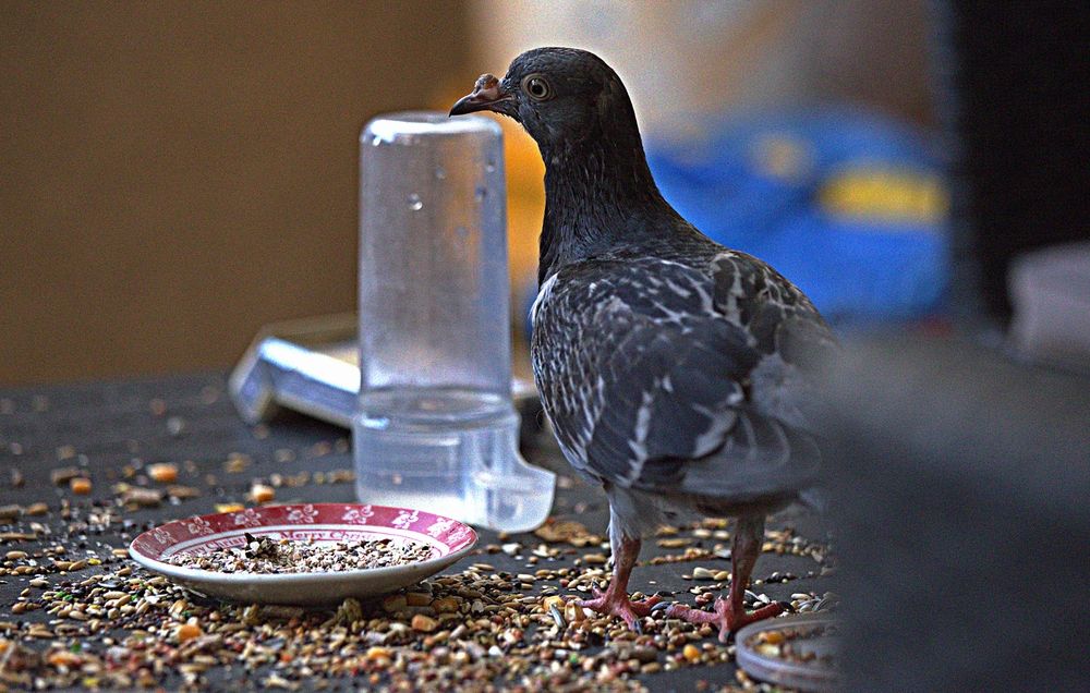 Photograph by Сергей Рапопорт