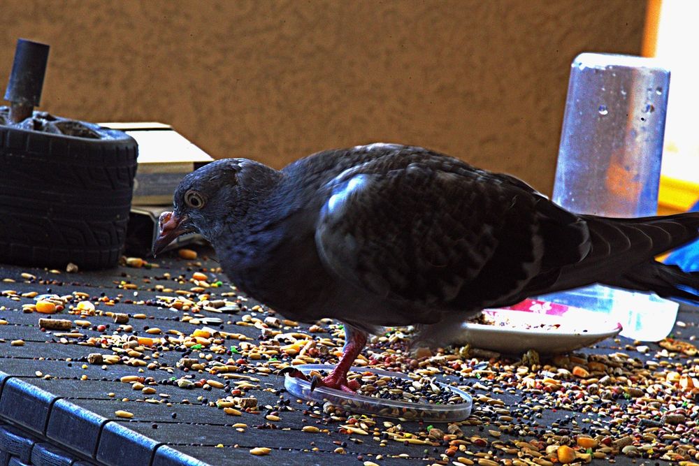 Photograph by Сергей Рапопорт