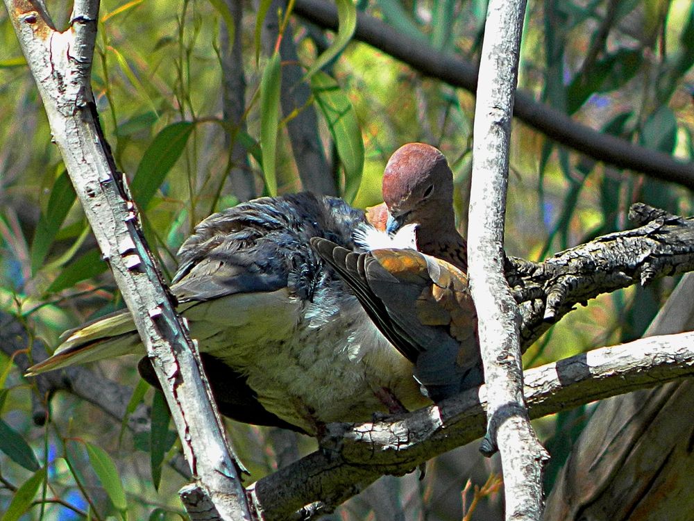 Photograph by Сергей Рапопорт