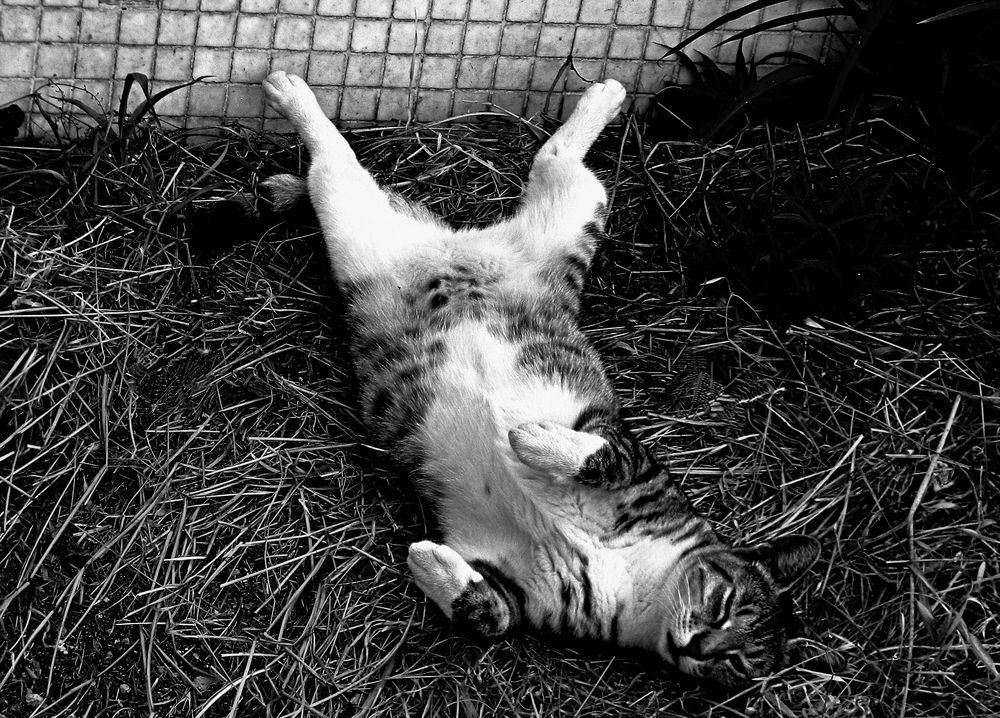 Photograph by Сергей Рапопорт