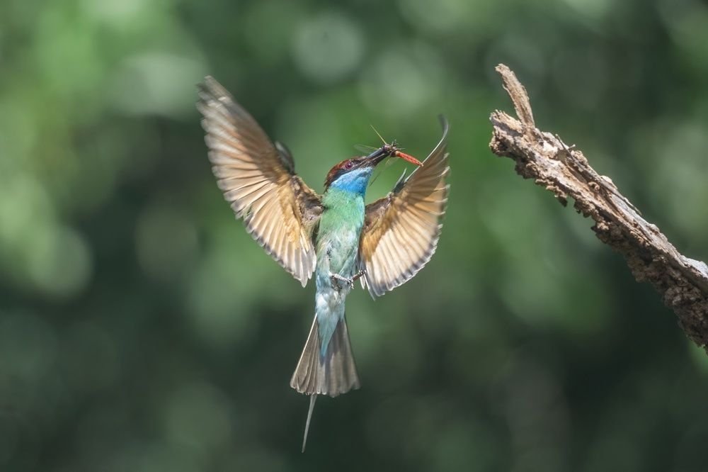 Photograph by Dino Von Valen