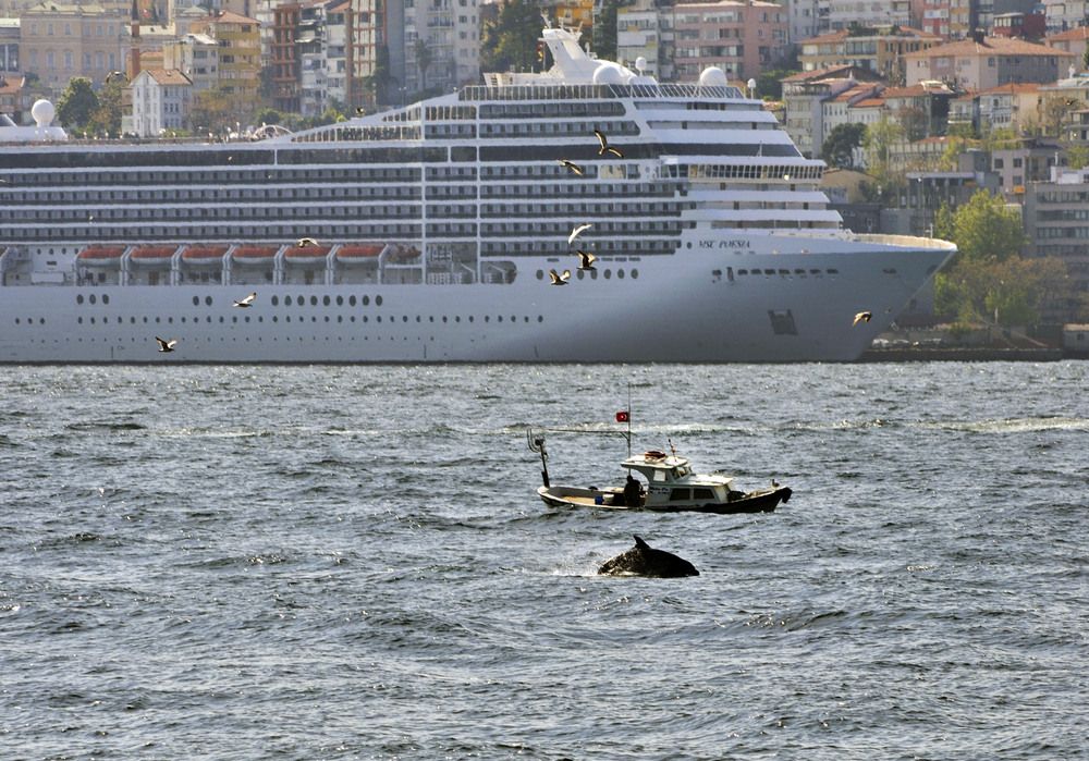 Photograph by Bekir Yesiltas