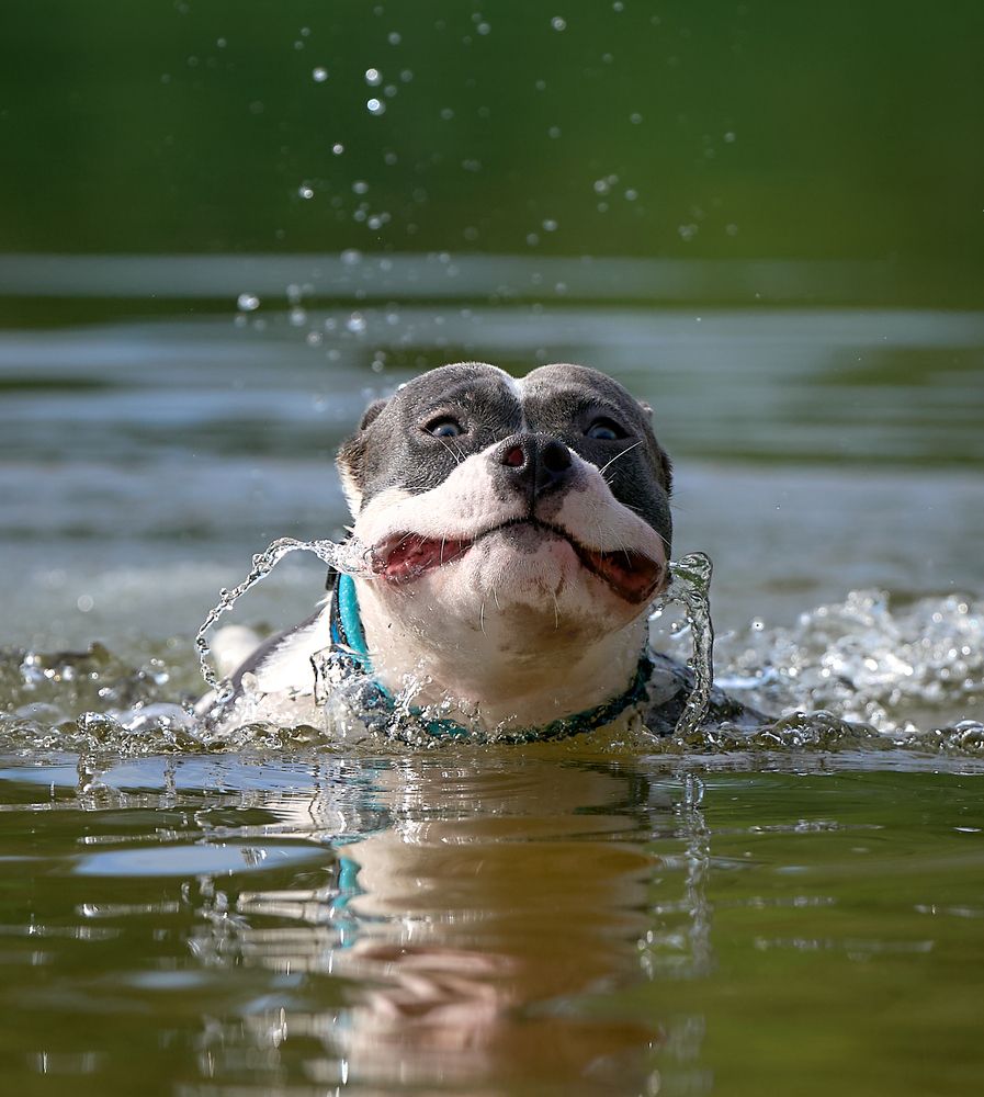 Photograph by Андрей Некрашевич