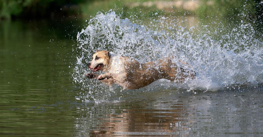 Photograph by Андрей Некрашевич