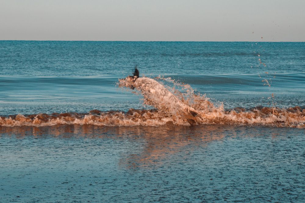 Photograph by Любовь Перевозникова