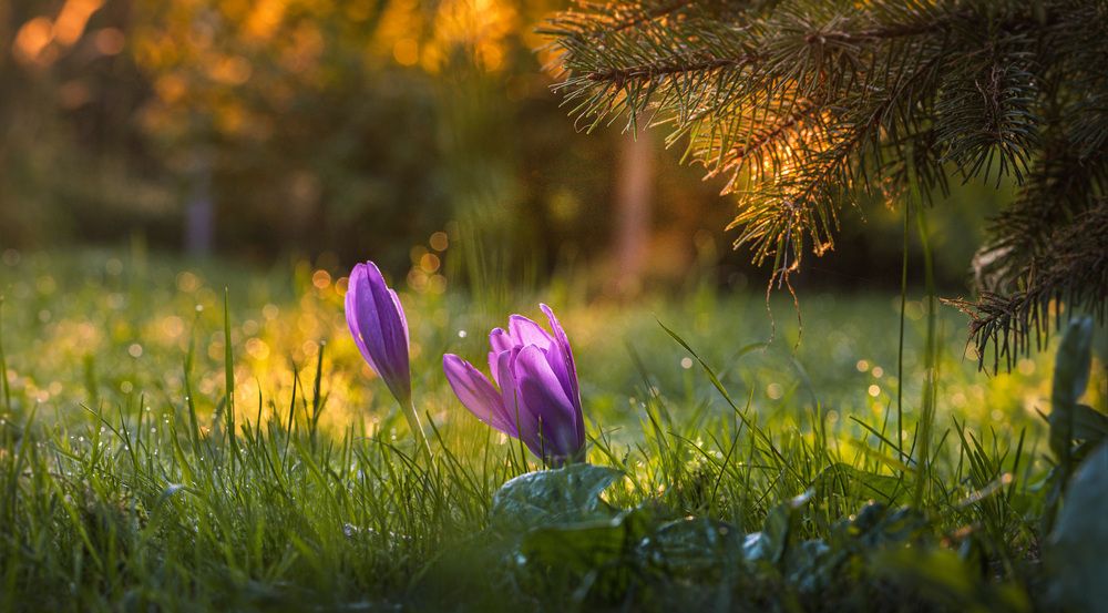 Photograph by Зеленько Дмитрий