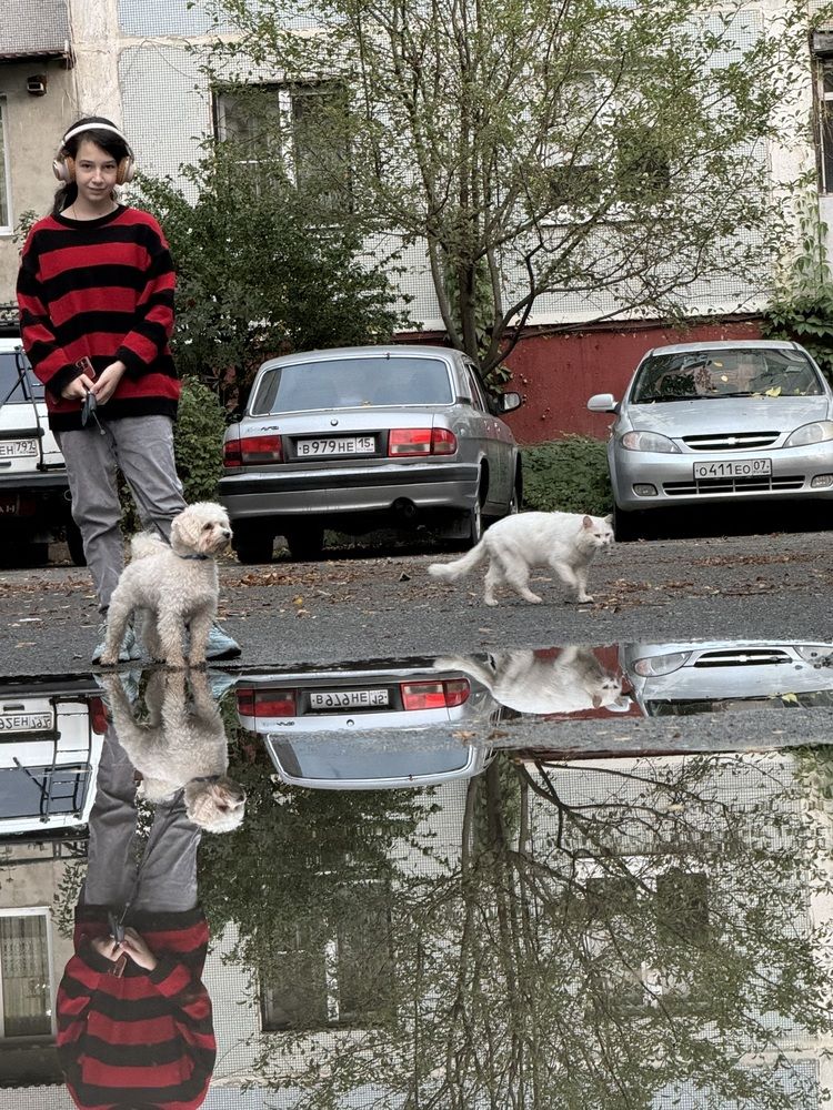 Photograph by Белла