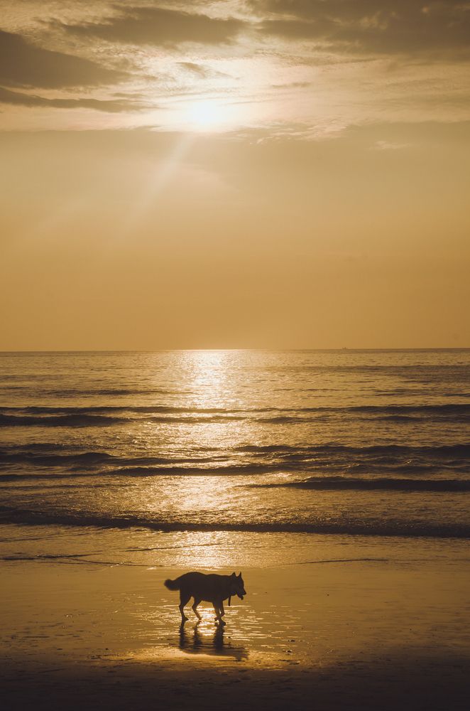 Photograph by Юлия Подлеснова