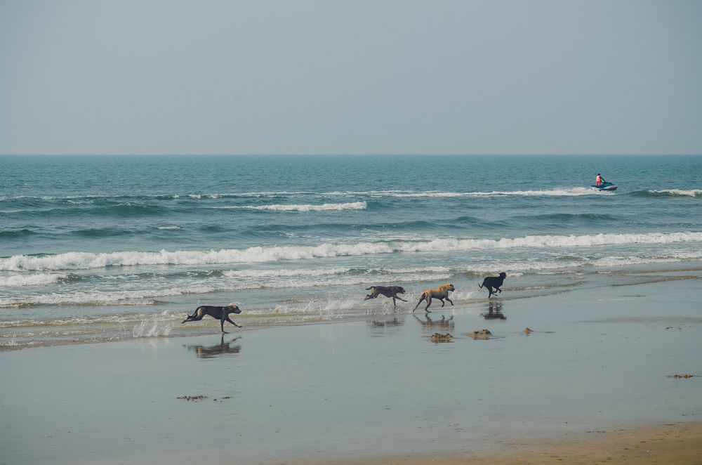 Photograph by Юлия Подлеснова