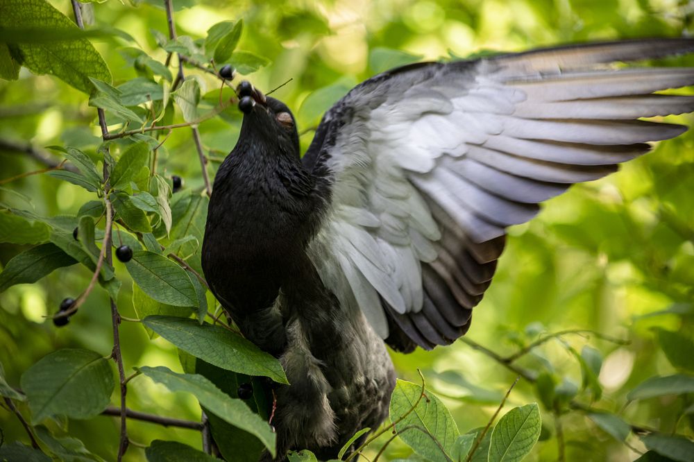 Photograph by Дмитрий Клопенков