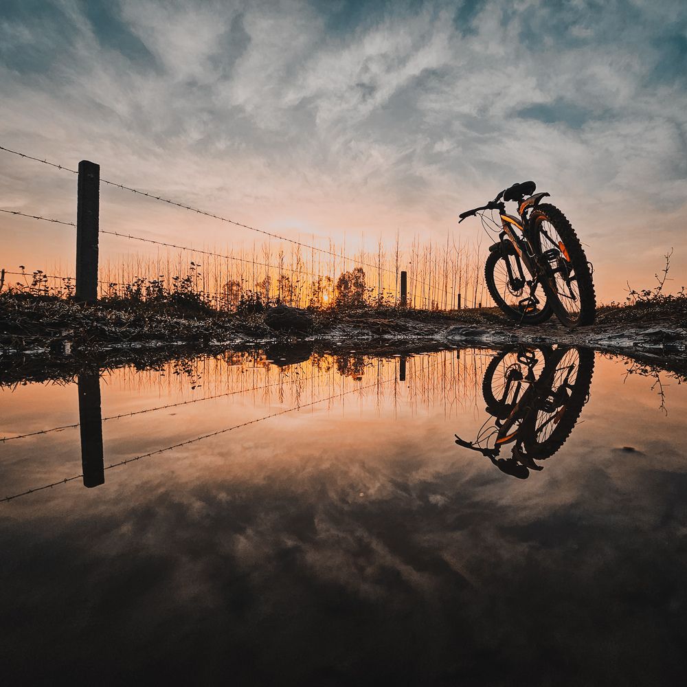 Фотография автора Dhruv Jangid