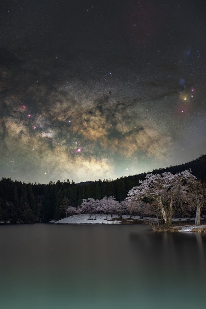 Фотография автора NAGUMO SHUTO