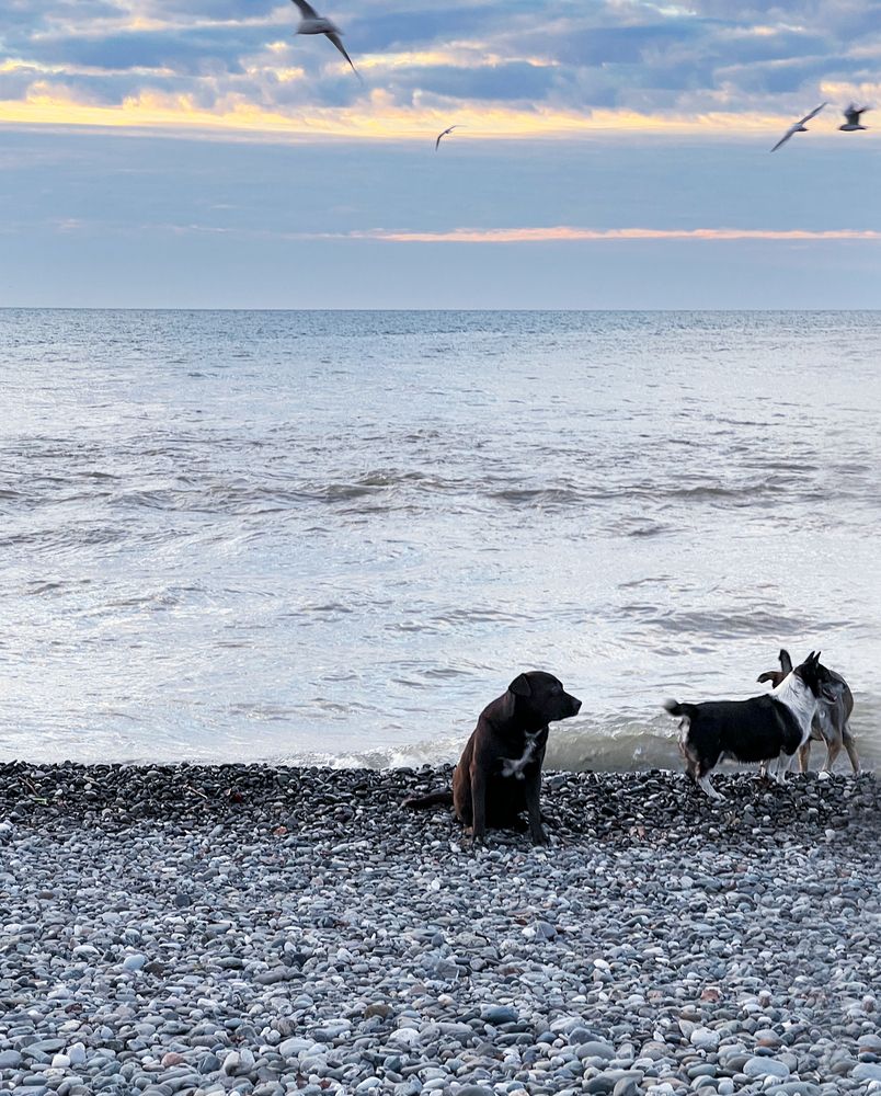 Photograph by Елена Гоосен