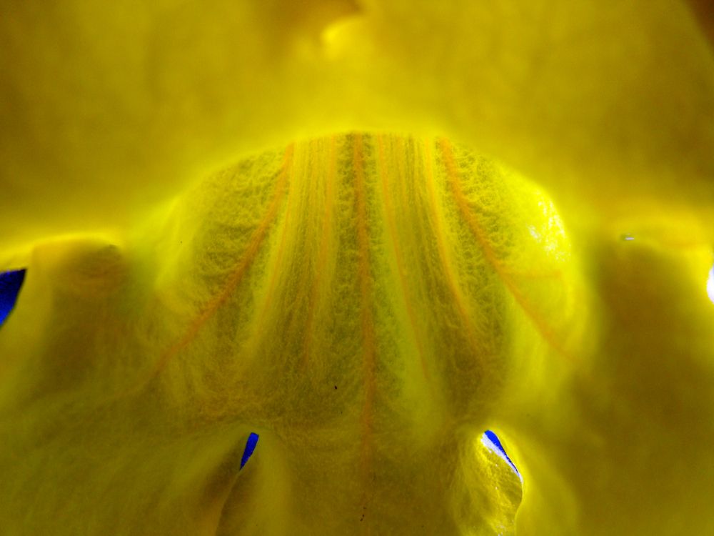 Photo #12438124