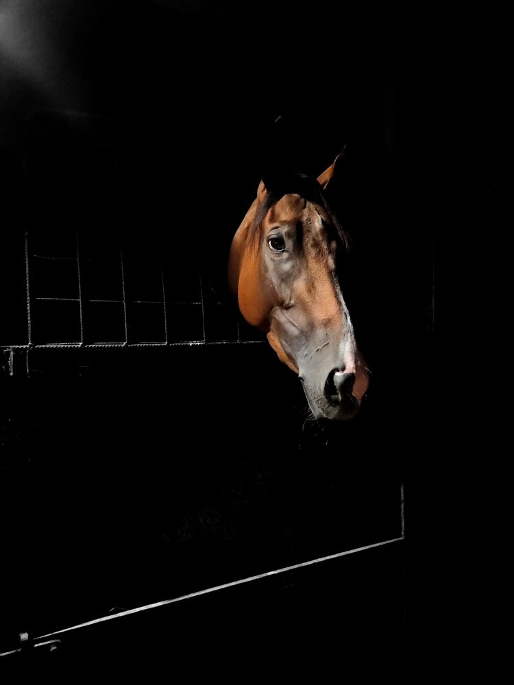 Photograph by Simona Synkova