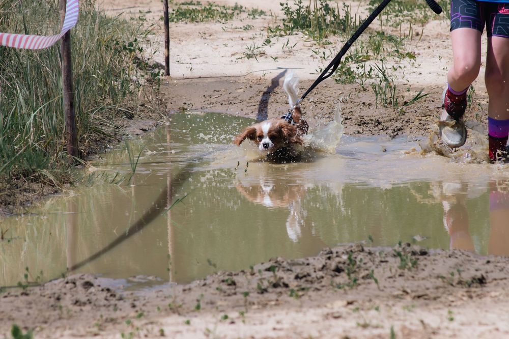 Photograph by Елена Ибрагимова