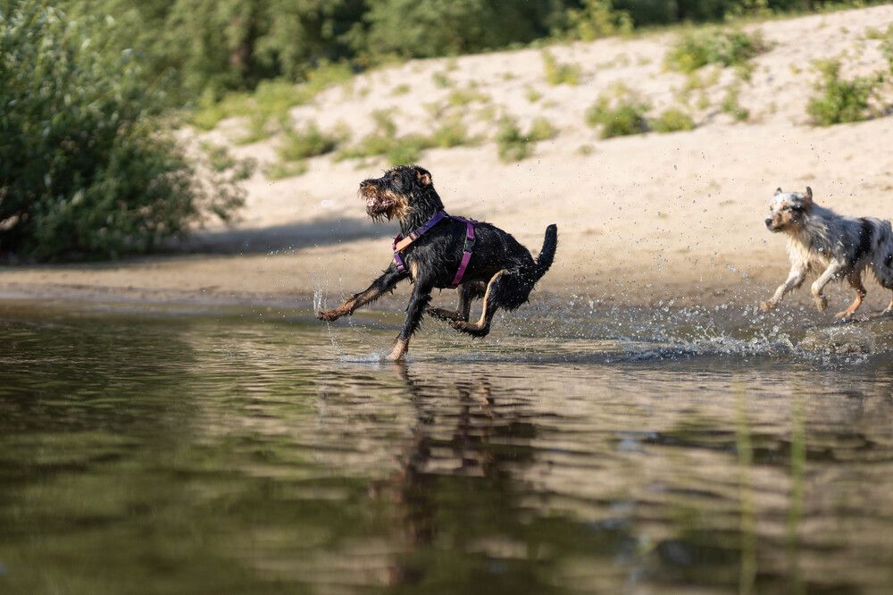 Photograph by Александра Лисова