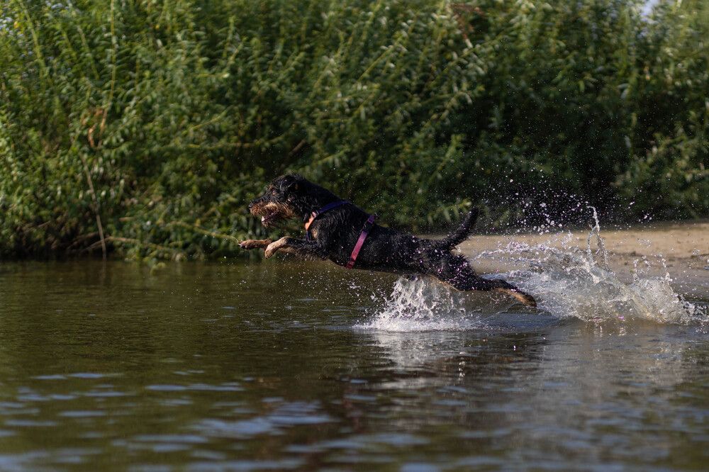 Photograph by Александра Лисова