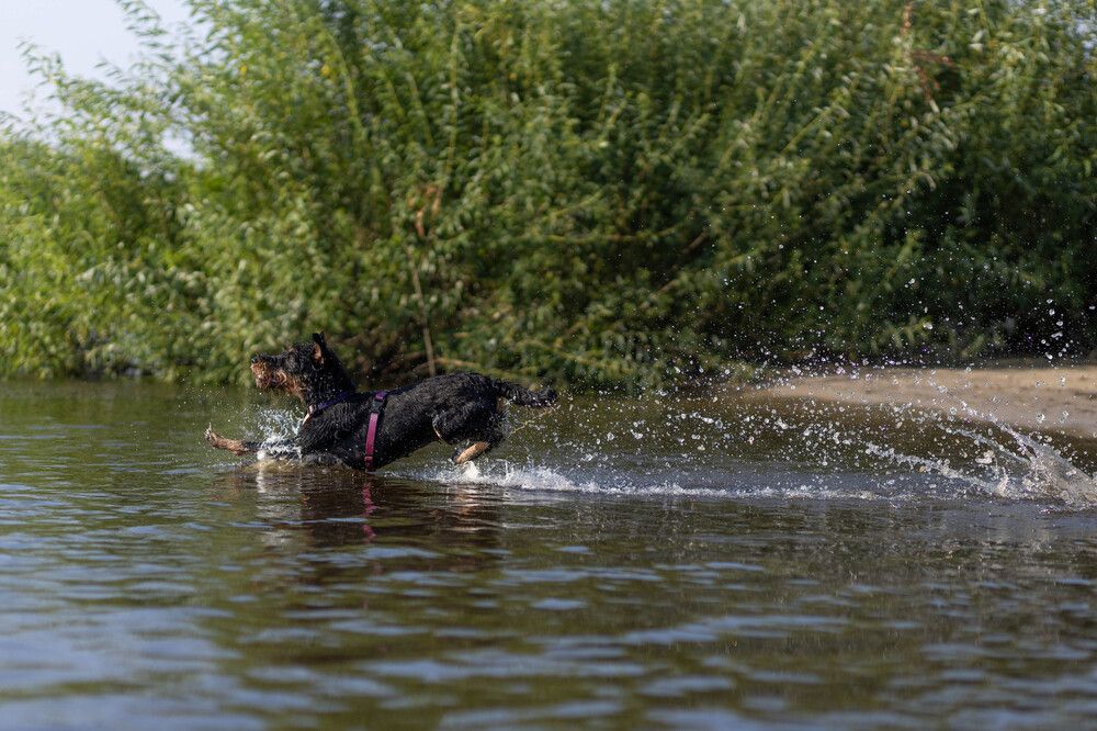 Photograph by Александра Лисова