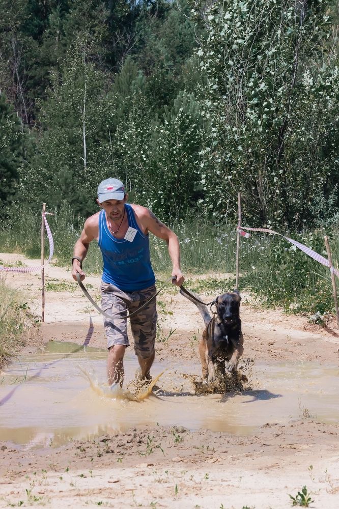 Photograph by Елена Ибрагимова