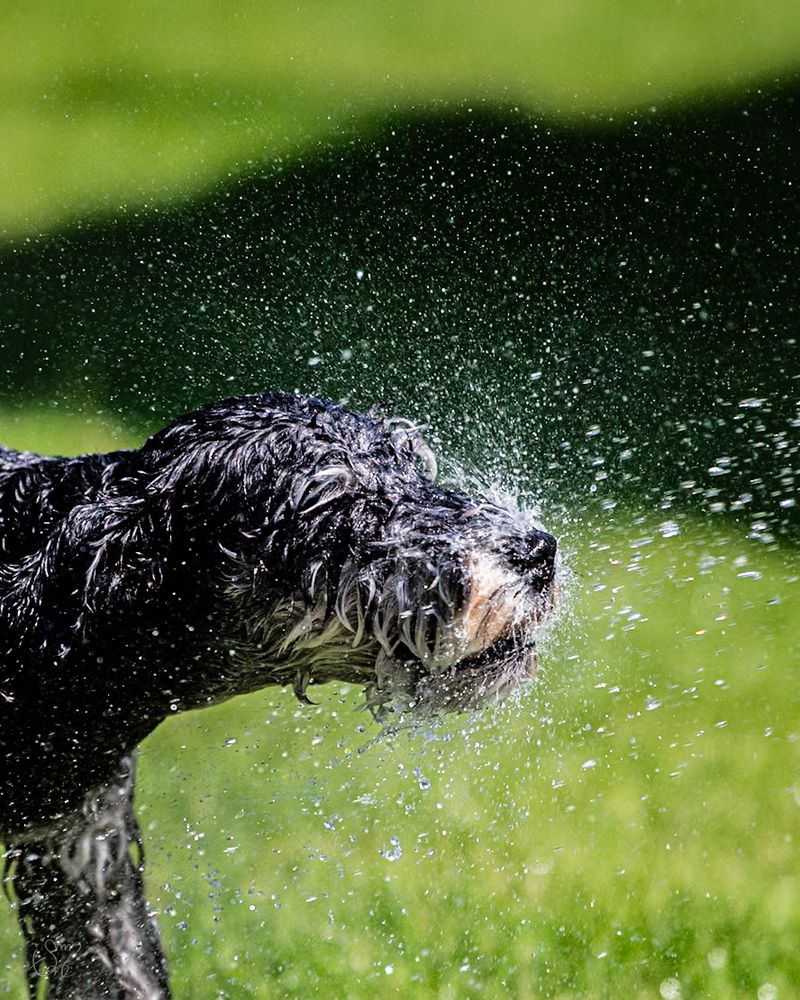Photograph by nishijima takayuki