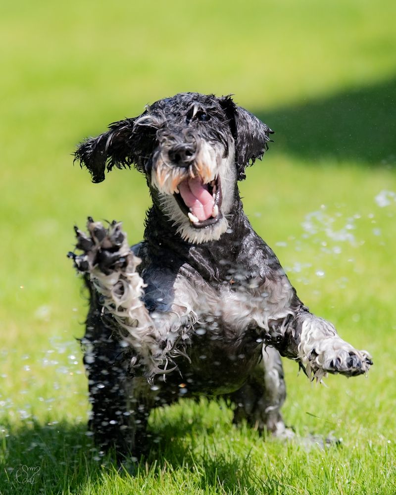 Photograph by nishijima takayuki