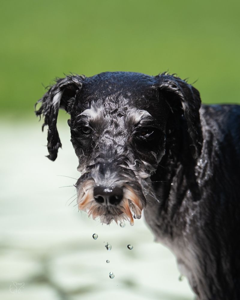 Photograph by nishijima takayuki