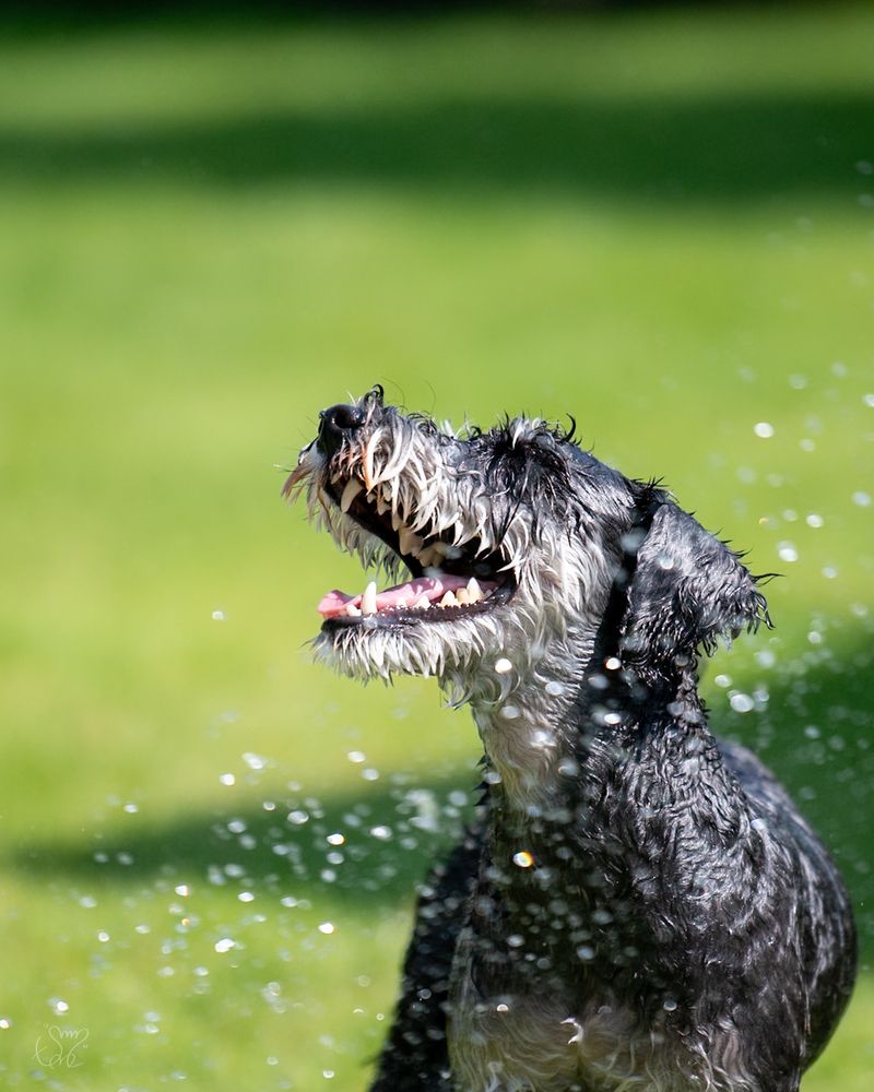 Photograph by nishijima takayuki
