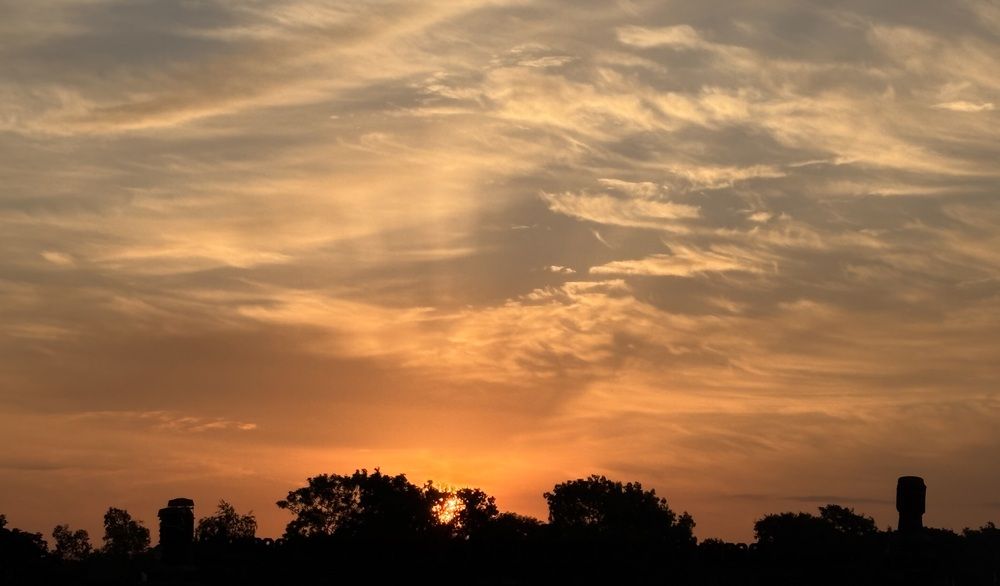Photo #12438364