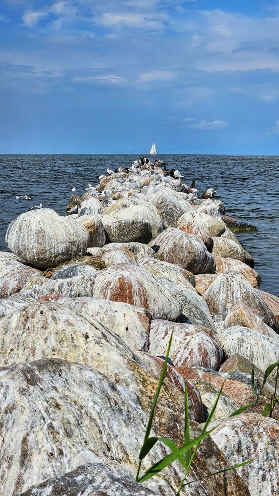 Photograph by Оксана Новикова