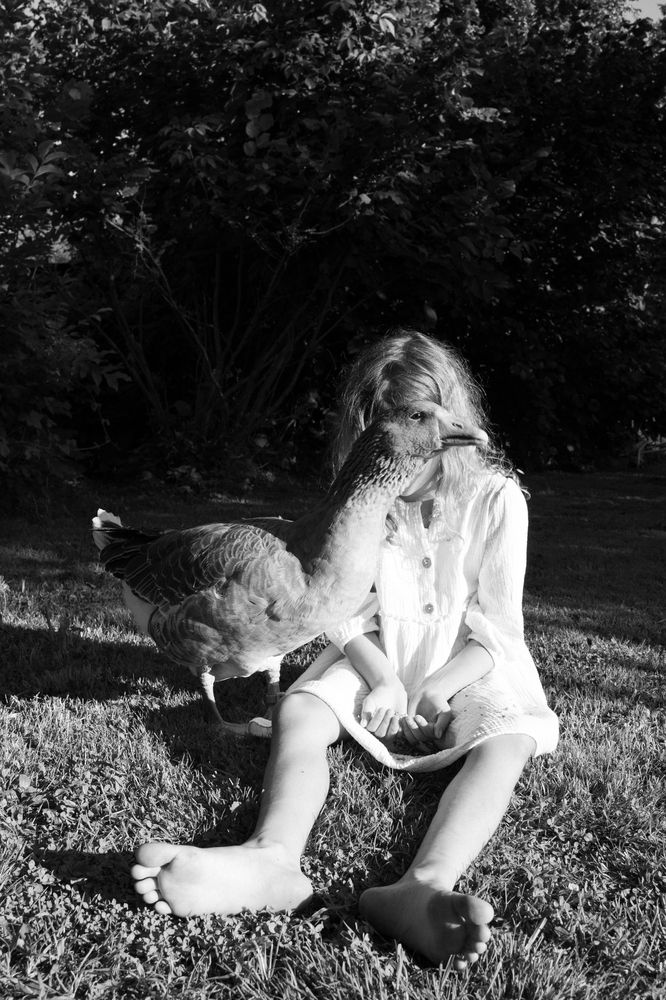 Photograph by Анна Форс